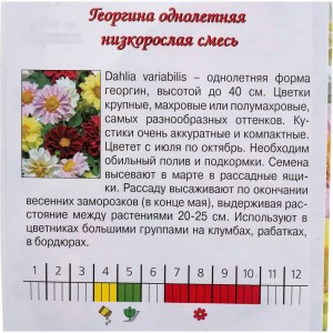 Семена Агрони Георгина низкорослая СМЕСЬ 7897