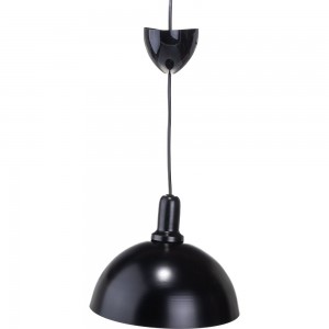 Декоративный подвесной светильник APEYRON металлический, Е27, 15Вт, 220В, черный 12-103