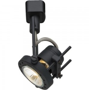Потолочный светильник Arte Lamp A4300PL-1BK