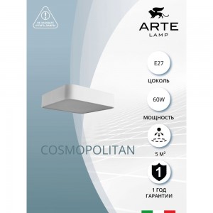 Потолочный светильник Arte Lamp A7210PL-2WH