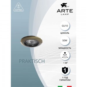 Потолочные светильники Arte Lamp A1203PL-1AB