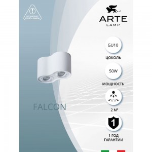Потолочный светильник Arte Lamp A5645PL-2WH