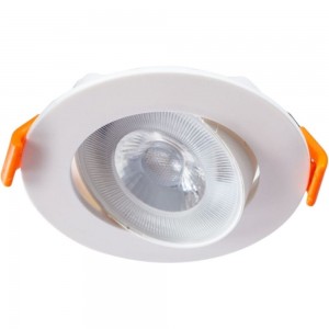 Потолочный светильник Arte Lamp A4761PL-1WH