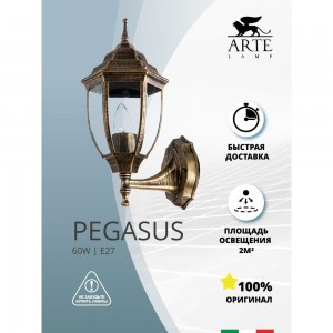 Уличный светильник Arte Lamp PEGASUS A3151AL-1BN