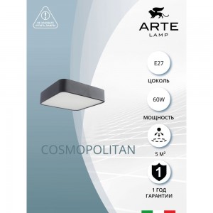 Потолочный светильник Arte Lamp COSMOPOLITAN A7210PL-2BK