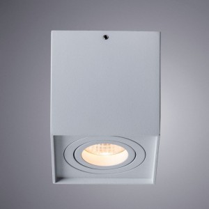 Потолочный светильник Arte Lamp FACTOR A5544PL-1WH