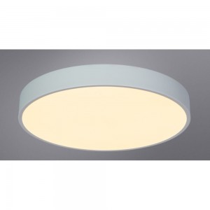 Потолочный светильник Arte Lamp ARENA A2661PL-1WH