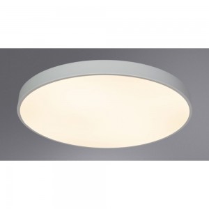 Потолочный светильник Arte Lamp ARENA A2671PL-1WH