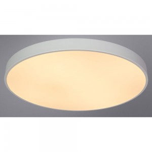Потолочный светильник Arte Lamp ARENA A2671PL-1WH