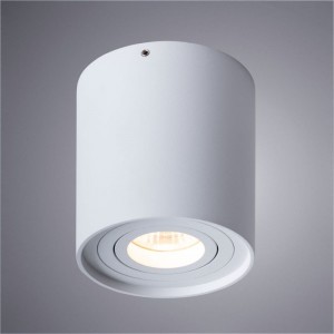 Потолочный светильник Arte Lamp FALCON A5645PL-1WH