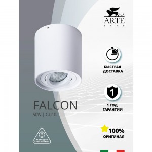 Потолочный светильник Arte Lamp FALCON A5645PL-1WH