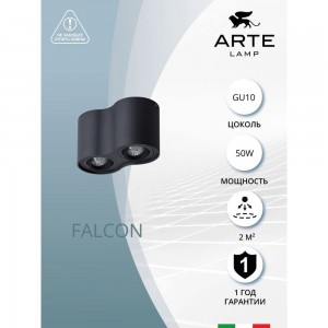 Потолочный светильник Arte Lamp FALCON A5645PL-2BK