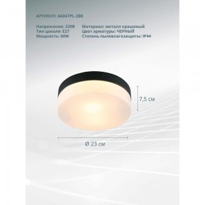 Потолочный светильник ARTE LAMP A6047PL-2BK