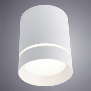 Потолочный светильник ARTE LAMP A1949PL-1WH