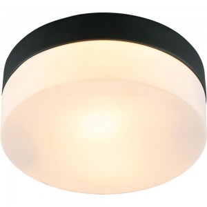 Потолочный светильник ARTE LAMP A6047PL-1BK