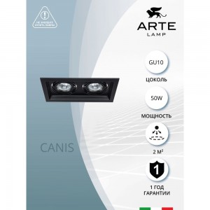 Потолочный светильник ARTE LAMP A6661PL-2BK