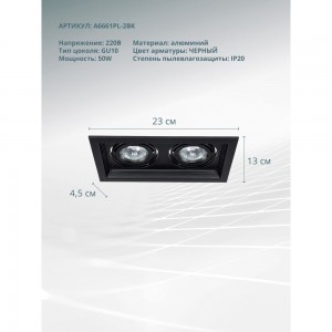 Потолочный светильник ARTE LAMP A6661PL-2BK