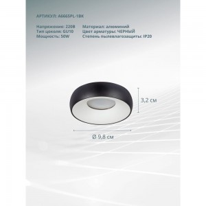 Потолочный светильник ARTE LAMP A6665PL-1BK