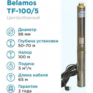 Скважинный насос БЕЛАМОС TF-100