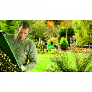 Садовый измельчитель Bosch AXT 25 TC 0600803300
