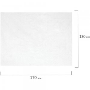 Антибактериальные салфетки для экранов оптики и пластика плотные BRAUBERG 13x17см, 100шт 513476