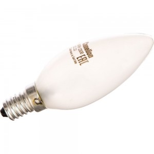 Электрическая лампа накаливания с матовой колбой MIC Camelion 60/B/FR/E14, 9866