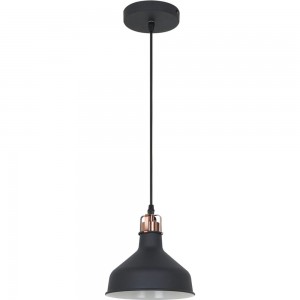Подвесной светильник Camelion PL-425S C62 черный+медь, Amsterdam, E27, 60Вт, 230В, металл 13023