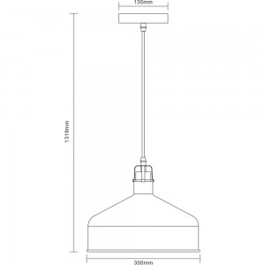 Подвесной светильник Camelion PL-425L C62 черный+медь, Amsterdam, E27, 60Вт, 230В, металл 13029