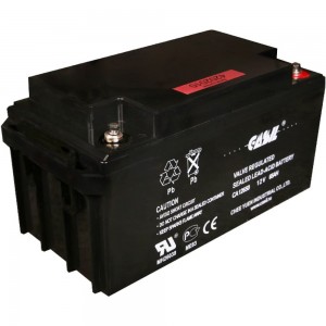 Аккумуляторная батарея CASIL CA12650 12650000