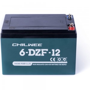 Батарея аккумуляторная тяговая CHILWEE 6-DZM-12