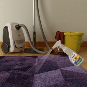 Пятновыводитель для ковровых покрытий Дафор 0.5 л 4607002305643