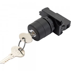 Кнопка с ключом Emas 2-0-1, с фиксацией, ключ вынимается в положениях 2-0-1 1НО CP CP100AC30