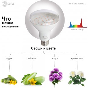 Лампа ЭРА полного спектра FITO-15W-Ra90-E27 Б0039173
