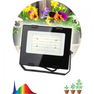 Прожектор ЭРА FITO50WRa90LED, для цветения и плодоношения, 10/300 Б0047875