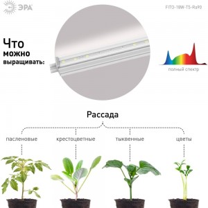 Линейный фито светильник для растений и рассады ЭРА полного спектра FITO 18W T5 Ra90 Б0049313