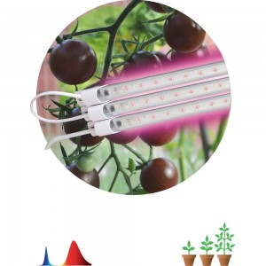 Модульный фито светильник для растений и рассады ЭРА FITO-3х10W-LINE-RB90 красно-синего спектра 30 Вт Б0050924