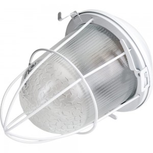 Светильник ЭРА НСП 02-100-003 с решеткой Желудь сталь стекло IP54 E27 max 100Вт белый Б0052019