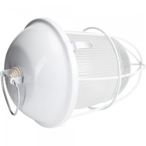 Светильник ЭРА НСП 02-100-003 с решеткой Желудь сталь стекло IP54 E27 max 100Вт белый Б0052019