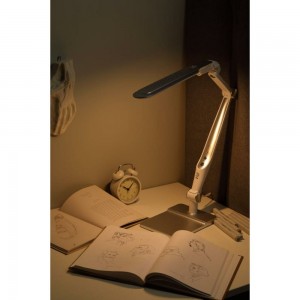 Настольный светодиодный светильник ЭРА NLED-497-12W-S на струбцине и с основанием, серебро Б0052772