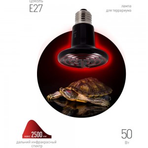Инфракрасная лампа ЭРА FITO-50W-НQ керамическая, серии CeramiHeat ,модель RX для брудера, рептилий, 50 Вт, Е27 Б0052714