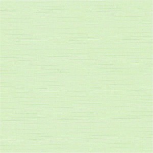 Тканевое миниролло Эскар светло-зеленый, 48х170 см 31017048170