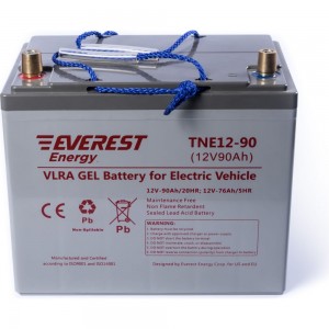Тяговая аккумуляторная батарея EVEREST Energy TNE 12-90