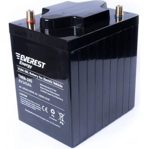 Тяговая аккумуляторная батарея EVEREST Energy TNE 6-245