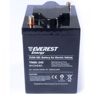 Тяговая аккумуляторная батарея EVEREST Energy TNE 6-245