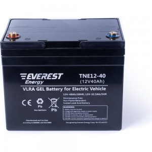 Тяговая аккумуляторная батарея EVEREST Energy TNE 12-40