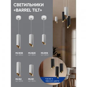 Потолочный светильник FERON ML1828 на подвесе MR16 35W 230V, белый, золото 55x200, 48042