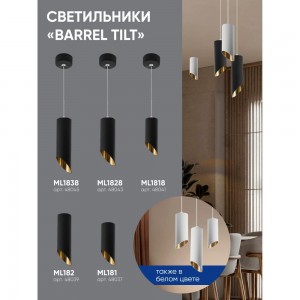 Потолочный светильник FERON ML182 Barrel tilt MR16 35W 230V, черный, золото 48039