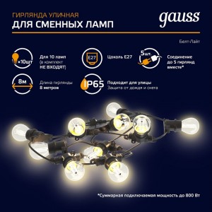 Светодиодная гирлянда Gauss Белт Лайт, серия Holiday, для сменных ламп Е27, 10 ламп, 7.7 м, IP65 HL070