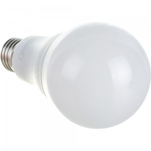 Светодиодная лампа General Lighting Systems WA67-25W-E27-690200