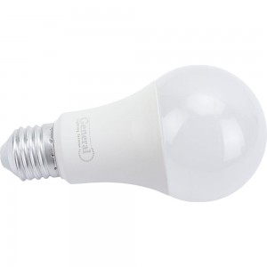Светодиодная лампа General Lighting Systems WA67-25W-E27-690300